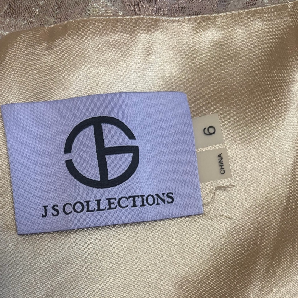 JS Collections Blush Color Lace Gown - Picture 12 of 16